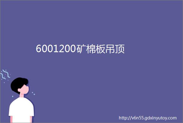 6001200矿棉板吊顶